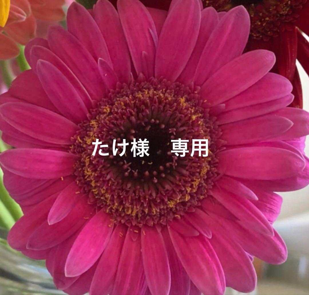 ドクターソワ SAIBOWセラム45 / ローション120