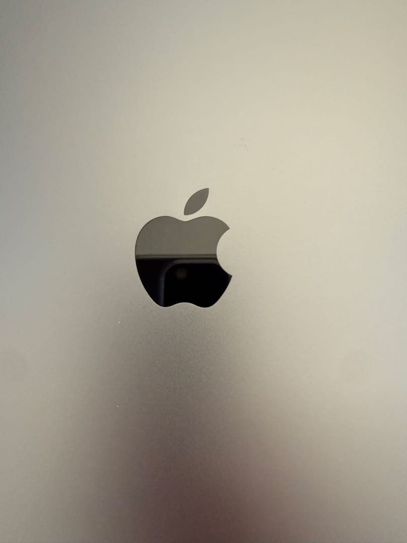 iPad 第9世代 256GB 10.2インチ　スペースグレイ