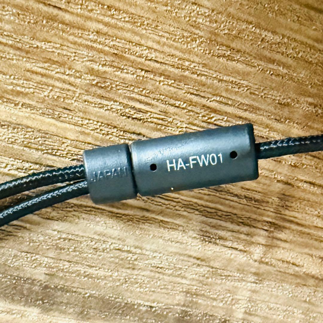 迅速発送！高級高音質リケーブルイヤホンJVC CLASS-S HA-FW01