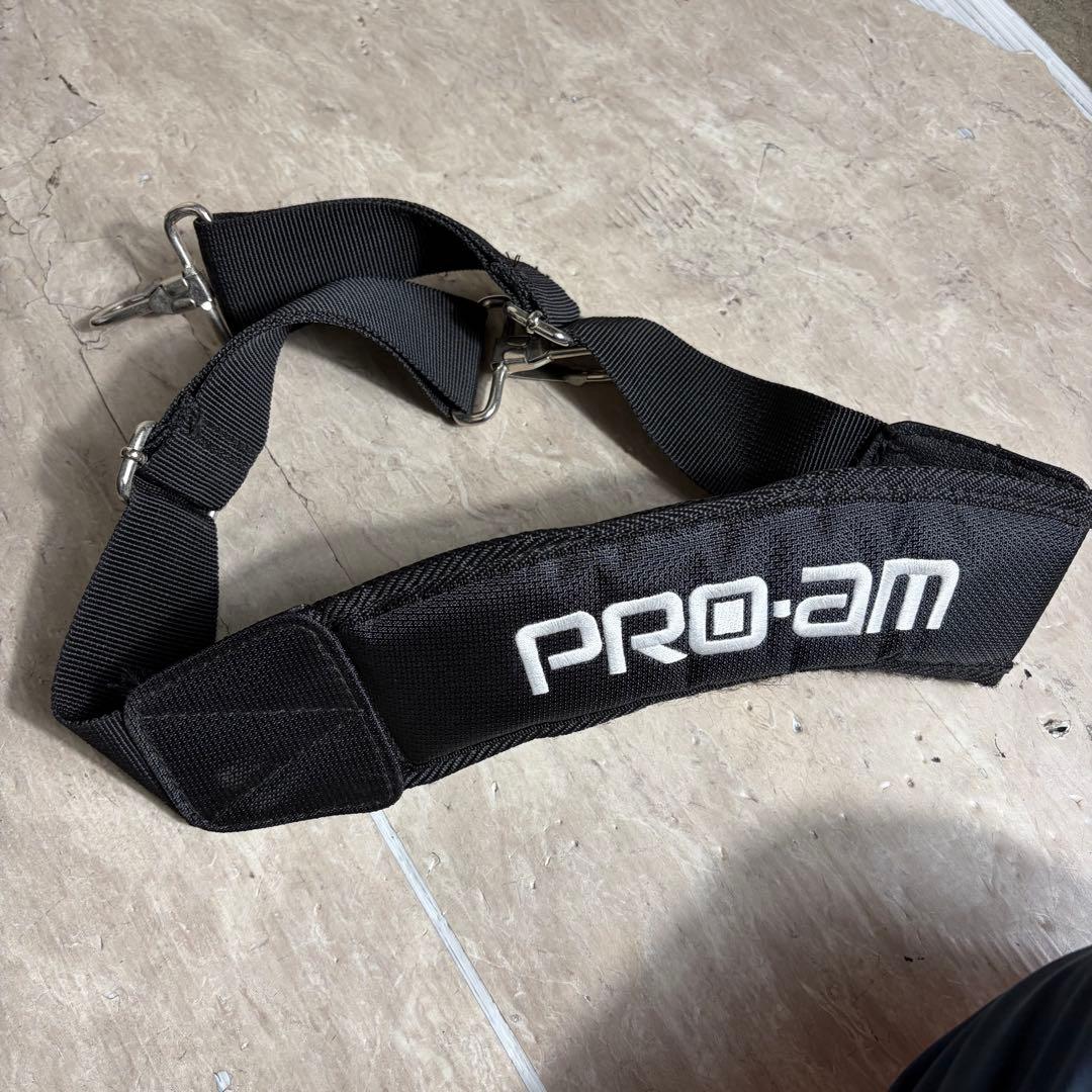 ABS PRO-am ボウリング キャリーケース 2ボール 2個用 3WAY