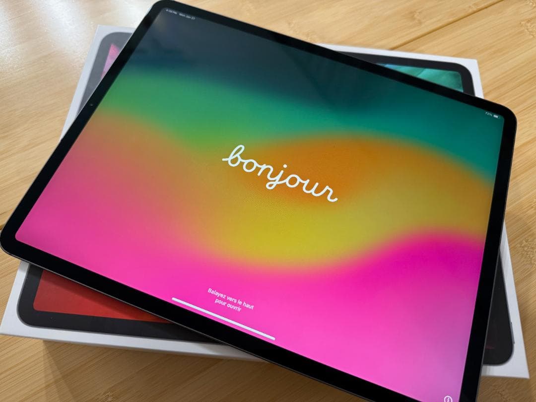 iPad Pro 12.9 Wi-Fi+Celluler 1TB 第4世代+α