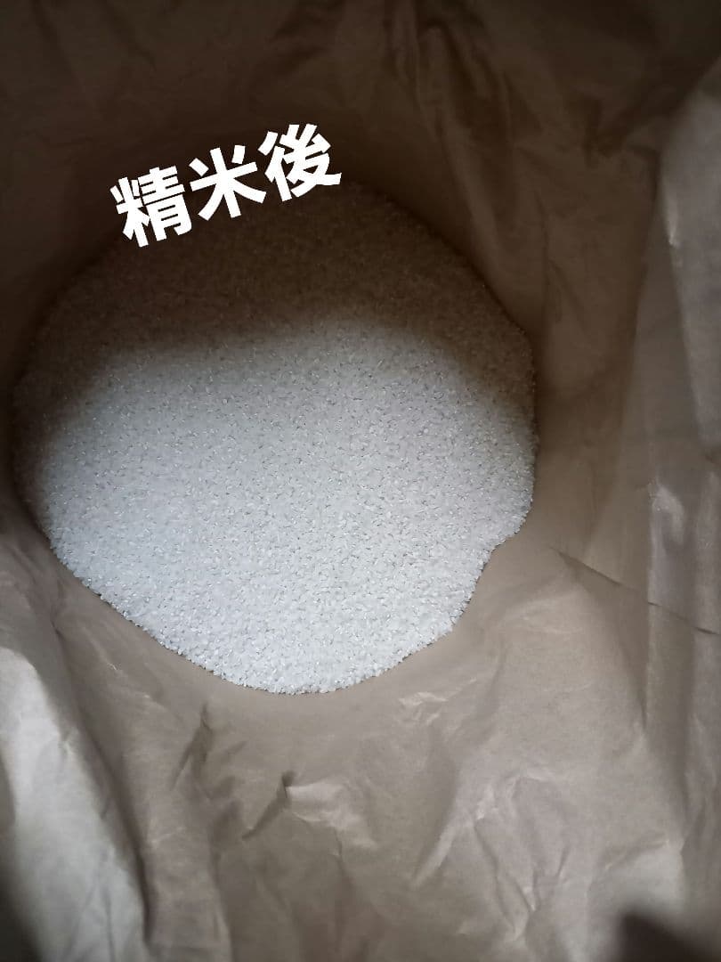 農家直送！！ 令和7年滋賀県産コシヒカリ白米27kg