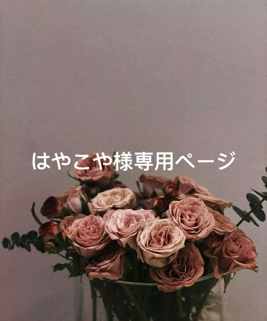 はやこやページ