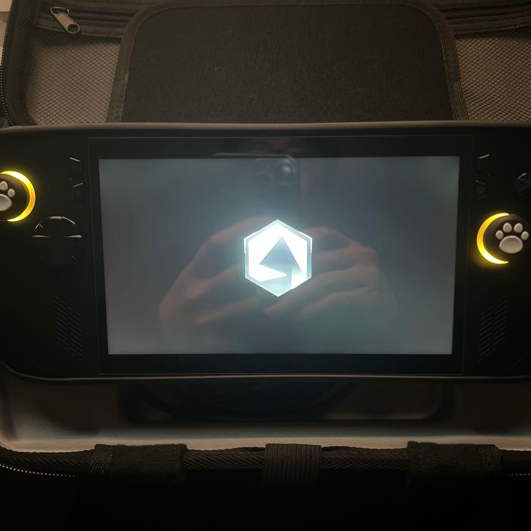 ディスプレイカバー Rog AllyX