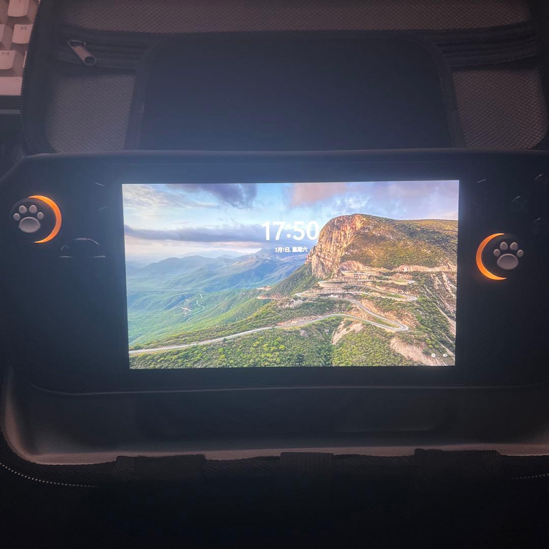 ディスプレイカバー Rog AllyX