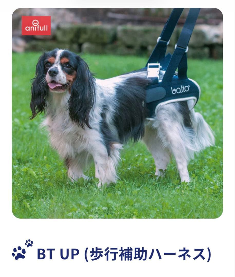 antfull BT UP 股関節サポーター S