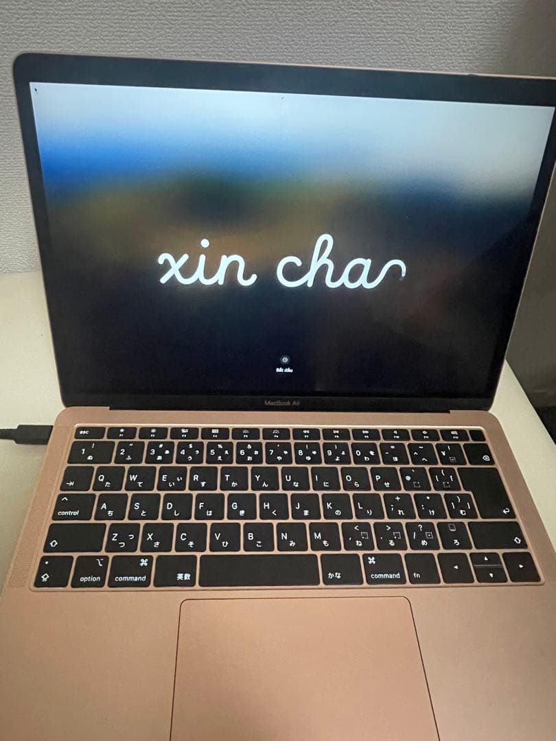 MacBook本体 Mac Book Air 13 2018