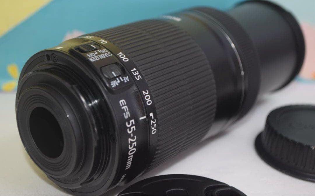 ❤️超静音レンズ❤️Canon EF-S 55-250mm IS STM