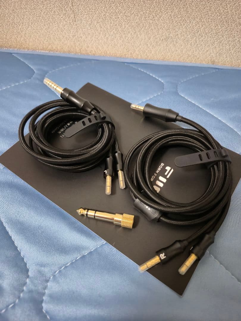 【極美品・日本国内正規輸入品】FiiO FT1 有線ヘッドホン　即購入可能！！