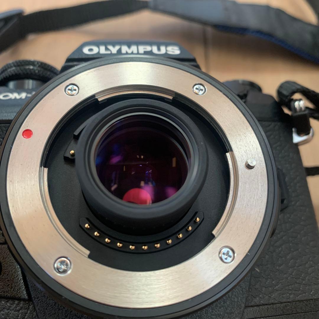 【シャッター数 205】OLYMPUS OM-D E-M1 Mark II