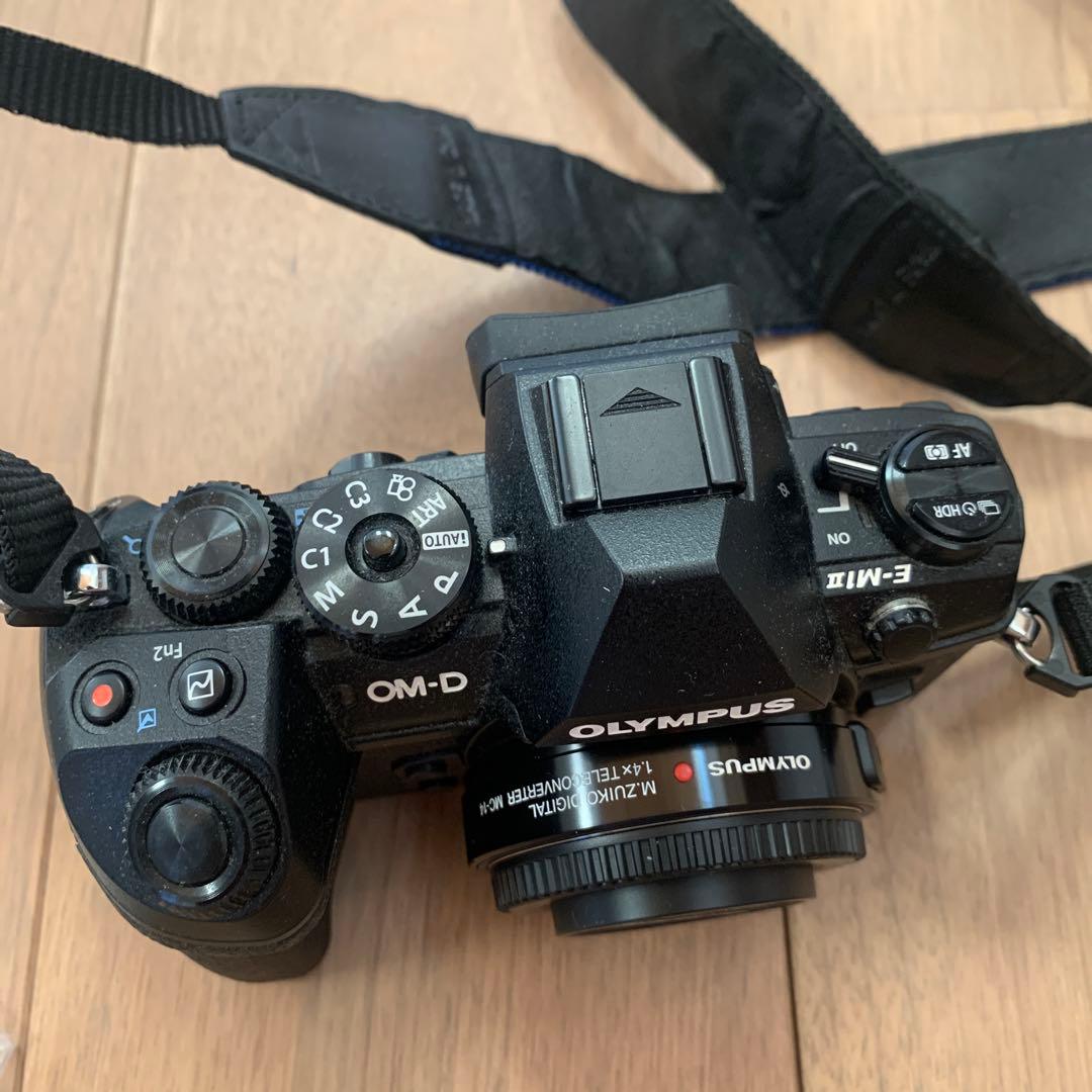 【シャッター数 205】OLYMPUS OM-D E-M1 Mark II