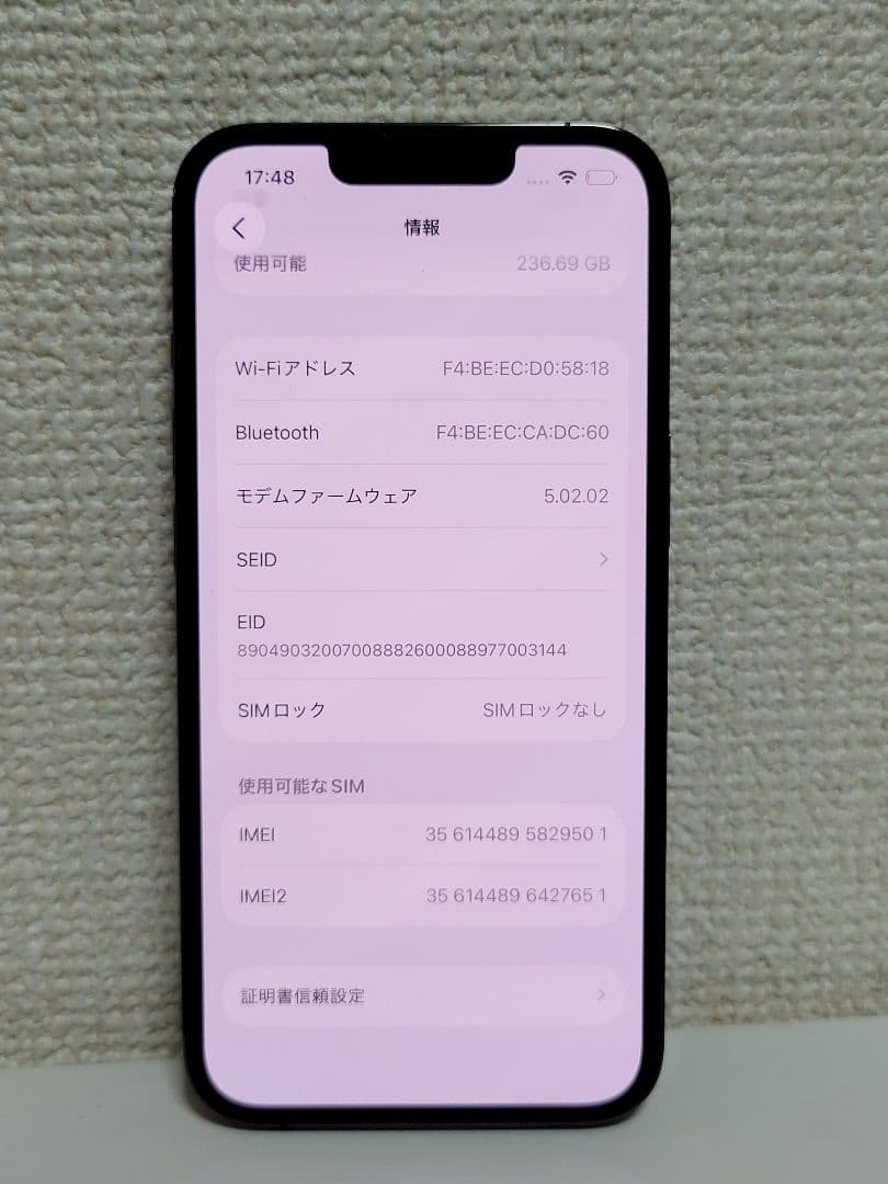 顔面片栗粉です、iphone 13 Pro 256GB