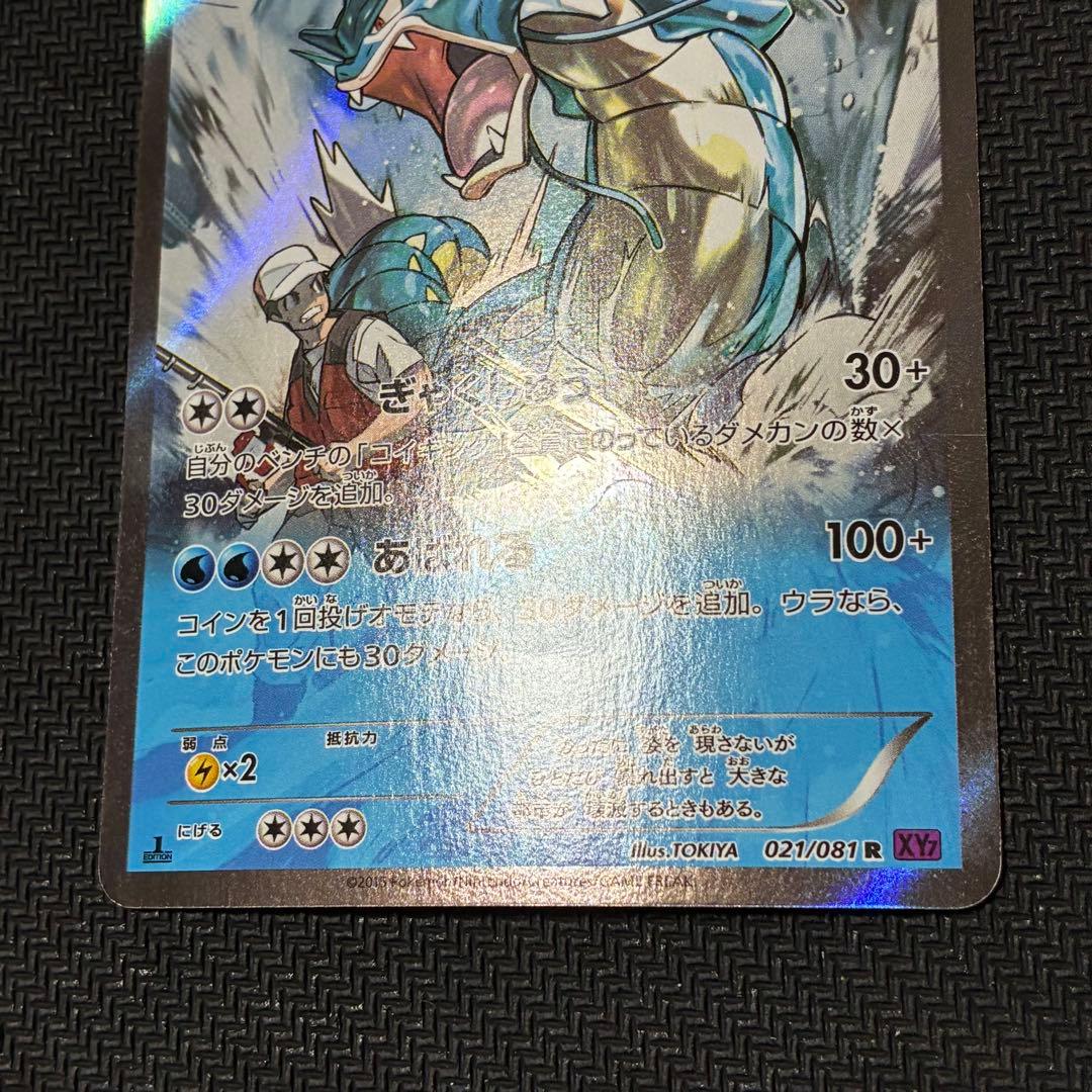 ポケモンカード　ギャラドス　xy7