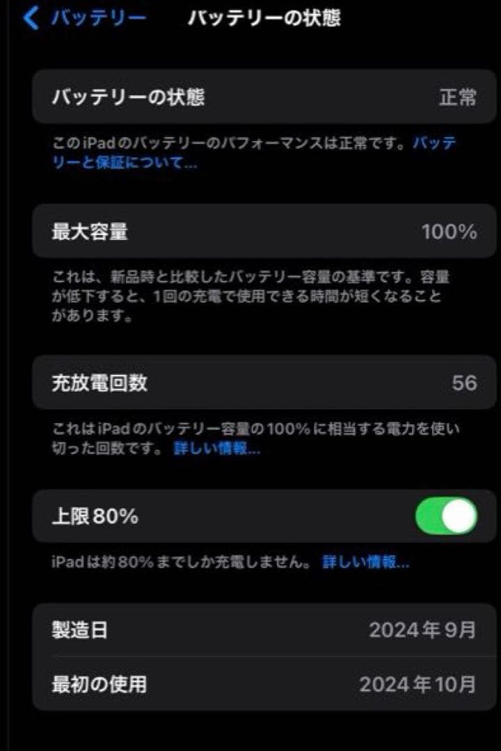 Apple iPad mini A17 Pro ブルー