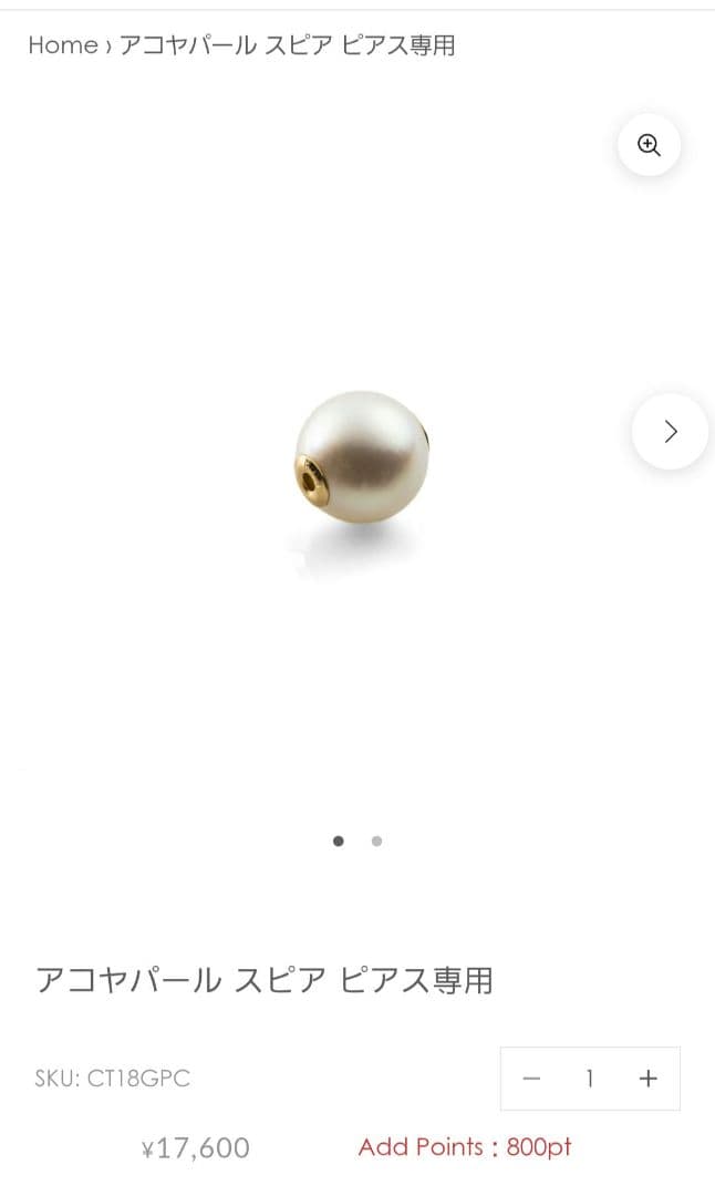 ヒロタカ hirotaka SPEAR ピアス