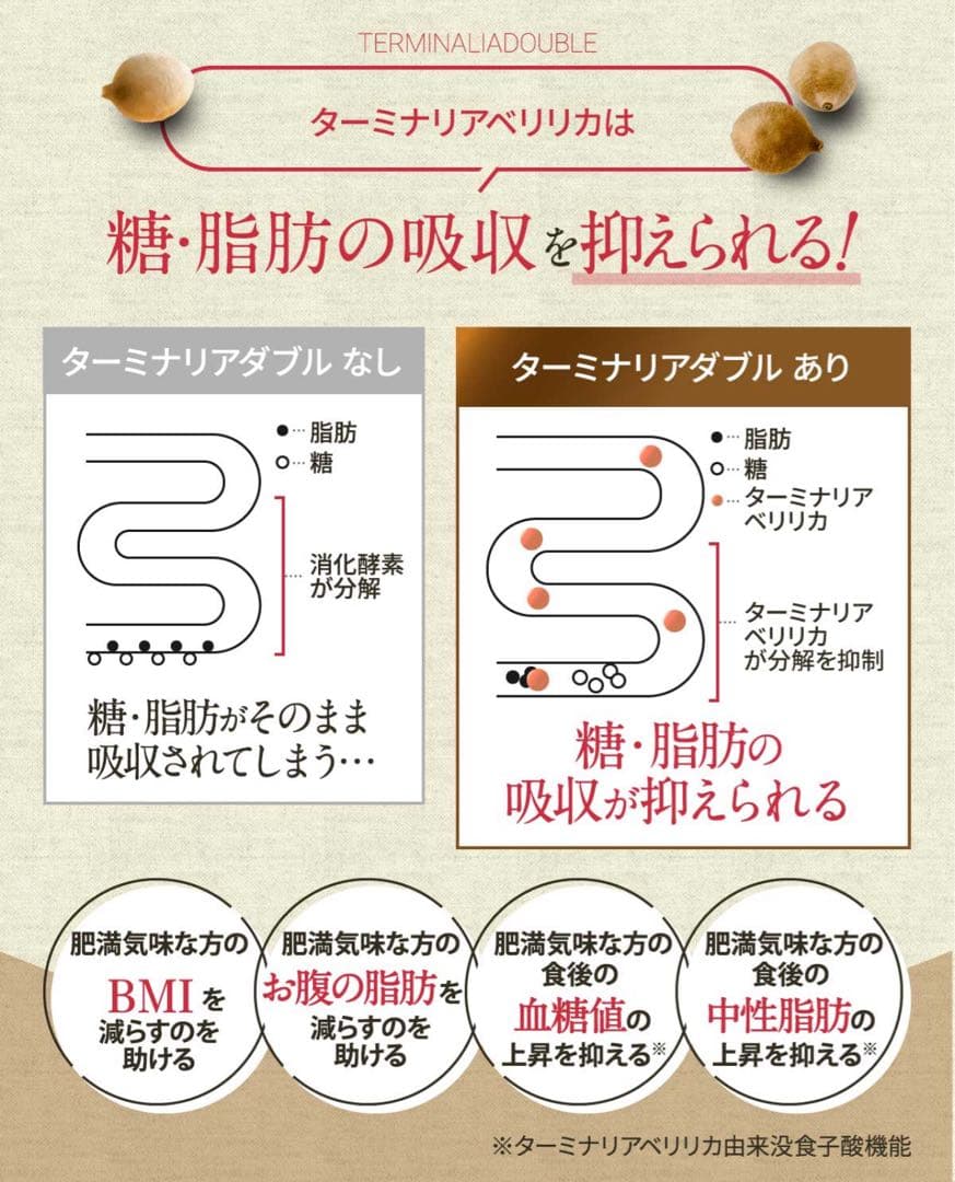 【新品未開封】ターミナリア ダブル 協和食研　120粒入×5袋