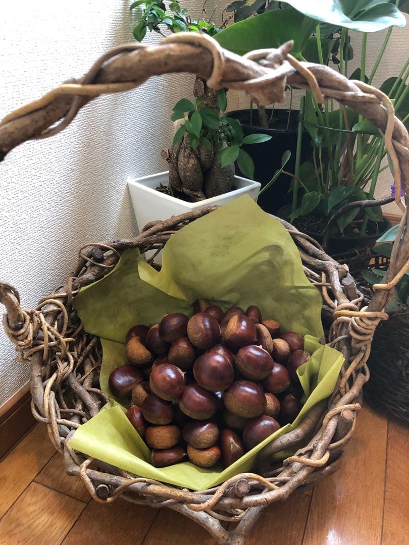 ★笠間の栗♪栗♪栗♪★15k 超★3L大粒混じりMix★業務用★皆でお得♪♪