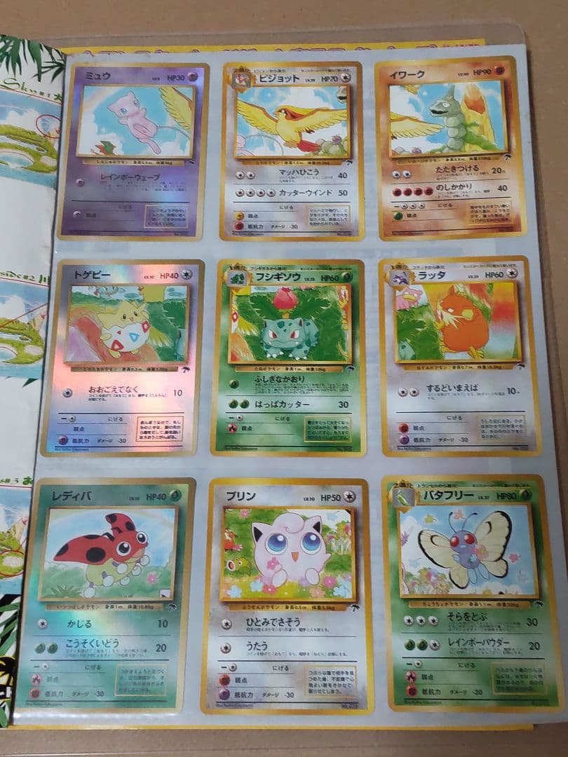 レインボーアイランド ファイルパック ポケモンカード 旧裏