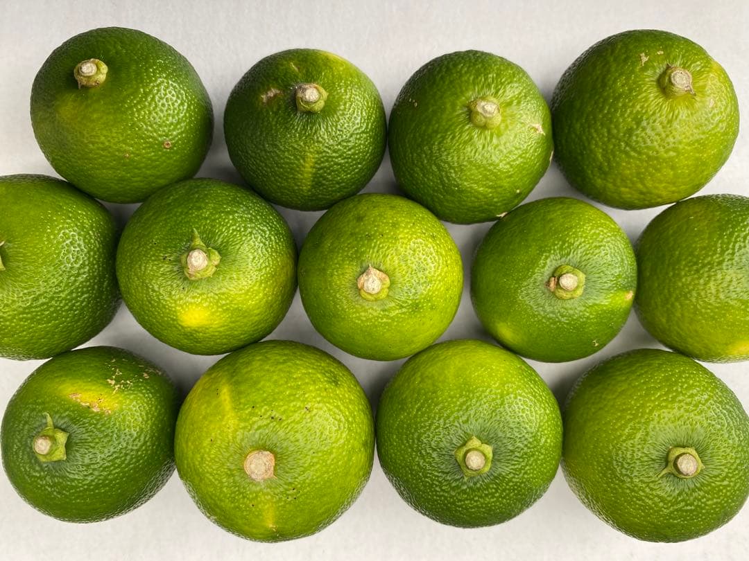 徳島県神山町産すだち《冷蔵貯蔵》5キロ　キズ・色ムラあり　黄緑色になります。①