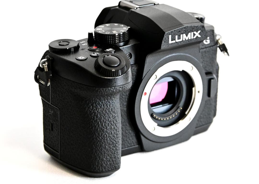 LUMIX DC-G99D ボディ シャッター数5,806回 美品