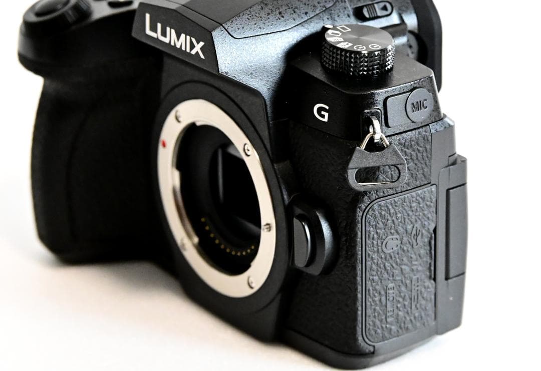 LUMIX DC-G99D ボディ シャッター数5,806回 美品