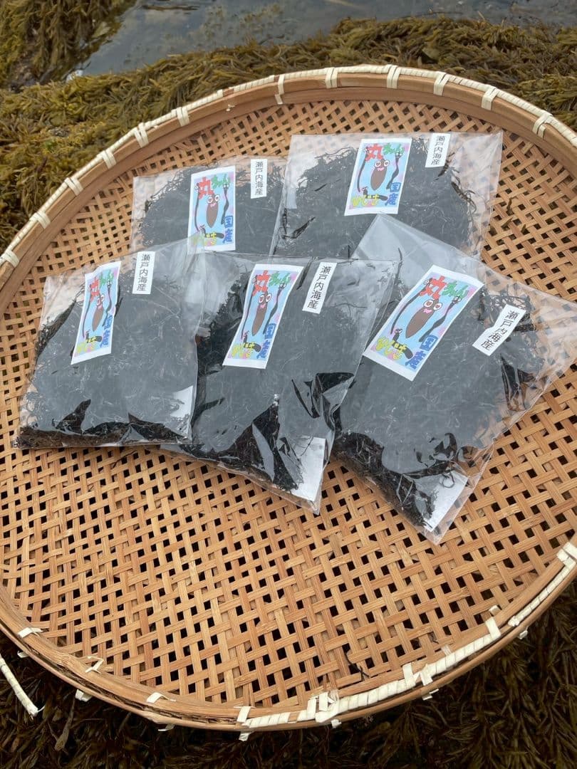 2500 五個瀬戸内 乾燥ひじき HIji1M ダイエット144297