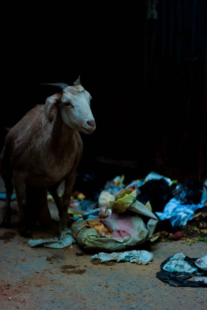 Leica Leitz SUMMICRON f2.0 90mmレンズ　第2世代