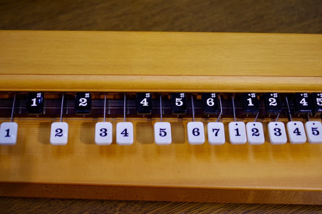 スズキ 高級電気大正琴「弁慶」（極上美品）