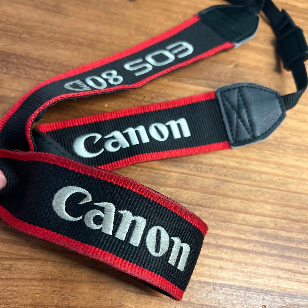 Canon EOS 80Dデジタル一眼レフカメラ・標準ズームレンズ＆単焦点レンズ