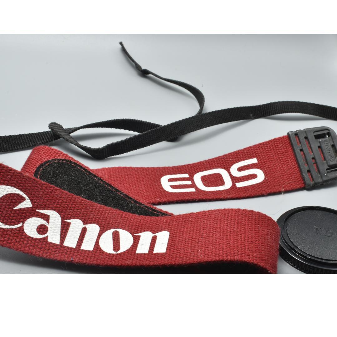 整備済 完動 Canon A-1 ボディ Black 露出計OK AE機能OK