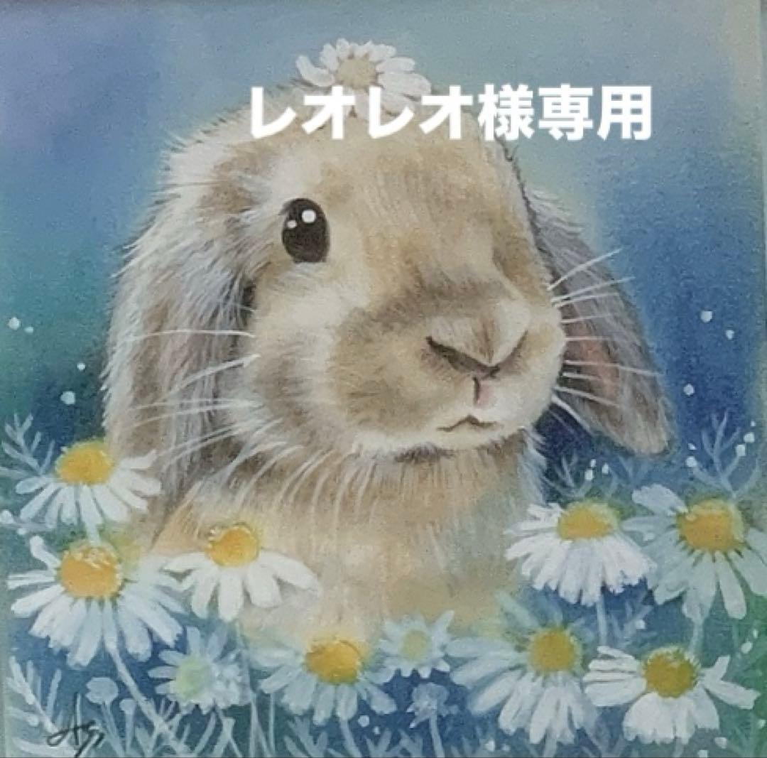 《レオレオ》 うさぎのきわみ850g正規品4袋＆試食品、他追加有