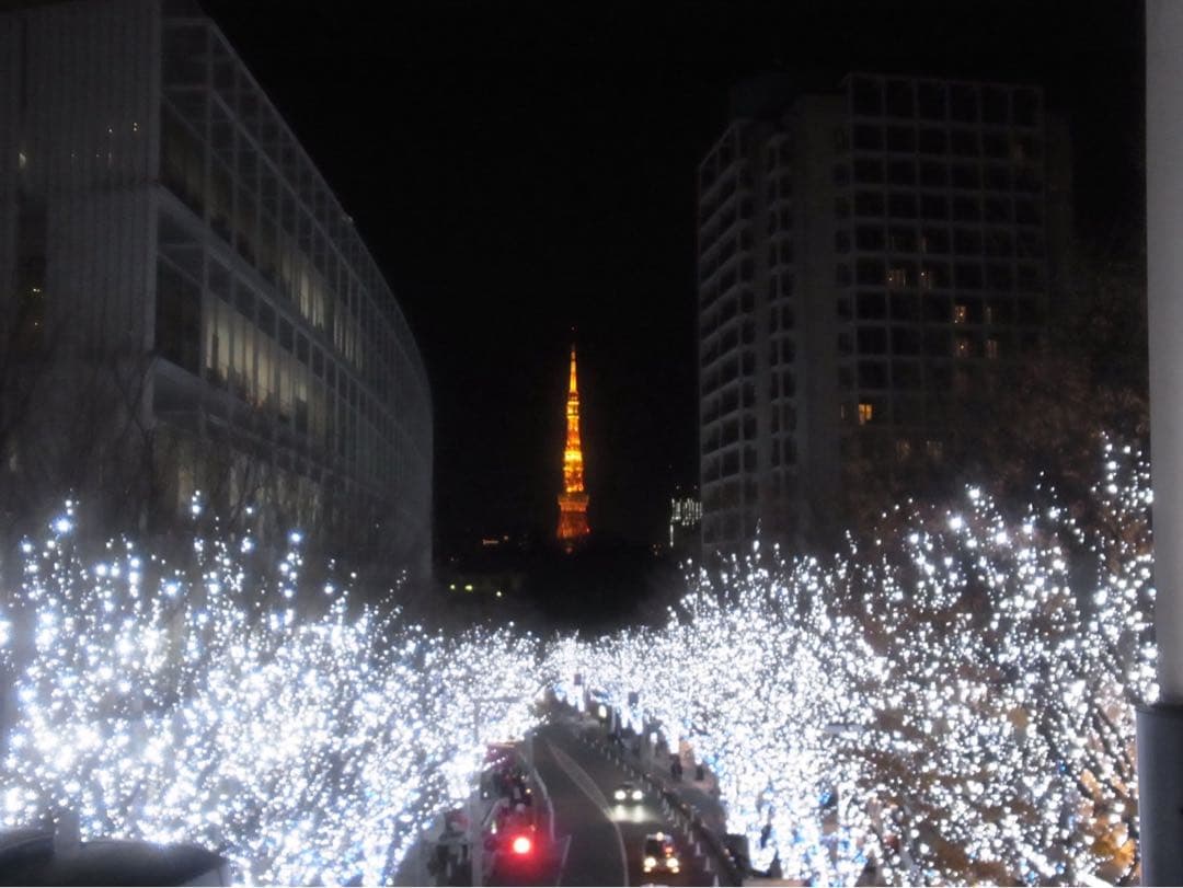 RICOH CX1 コンパクトデジタルカメラ