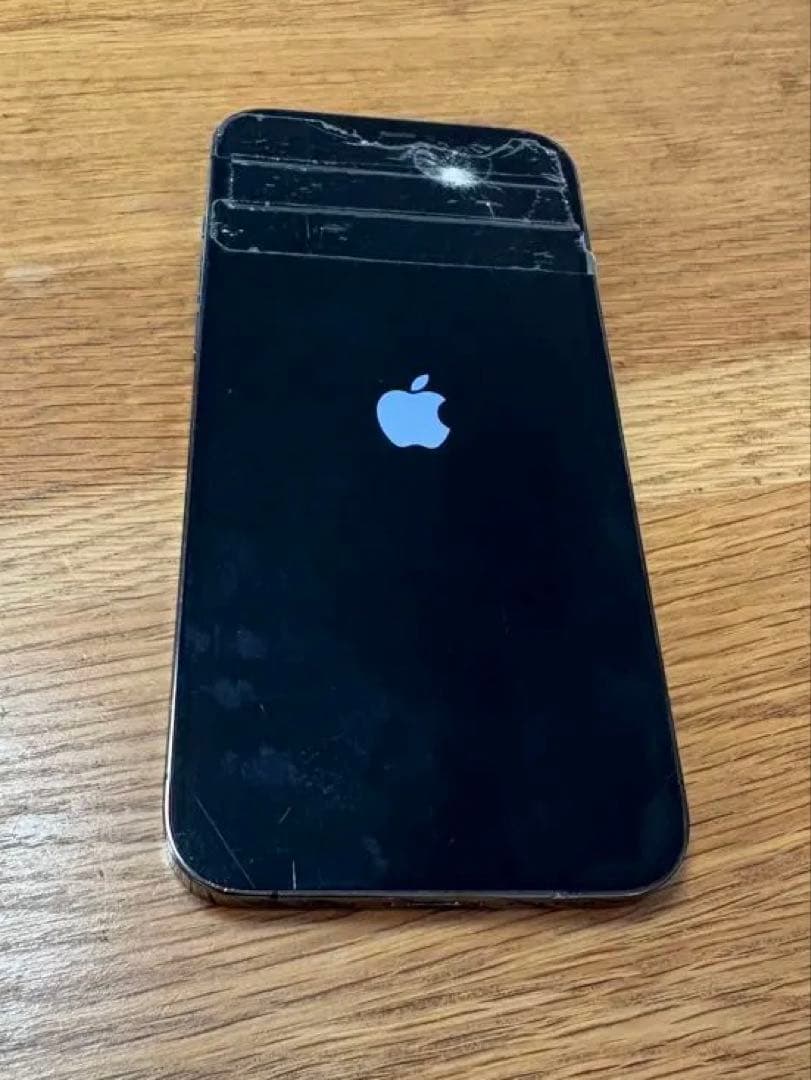 iphone12promax 本体 カメラ故障　ジャンク