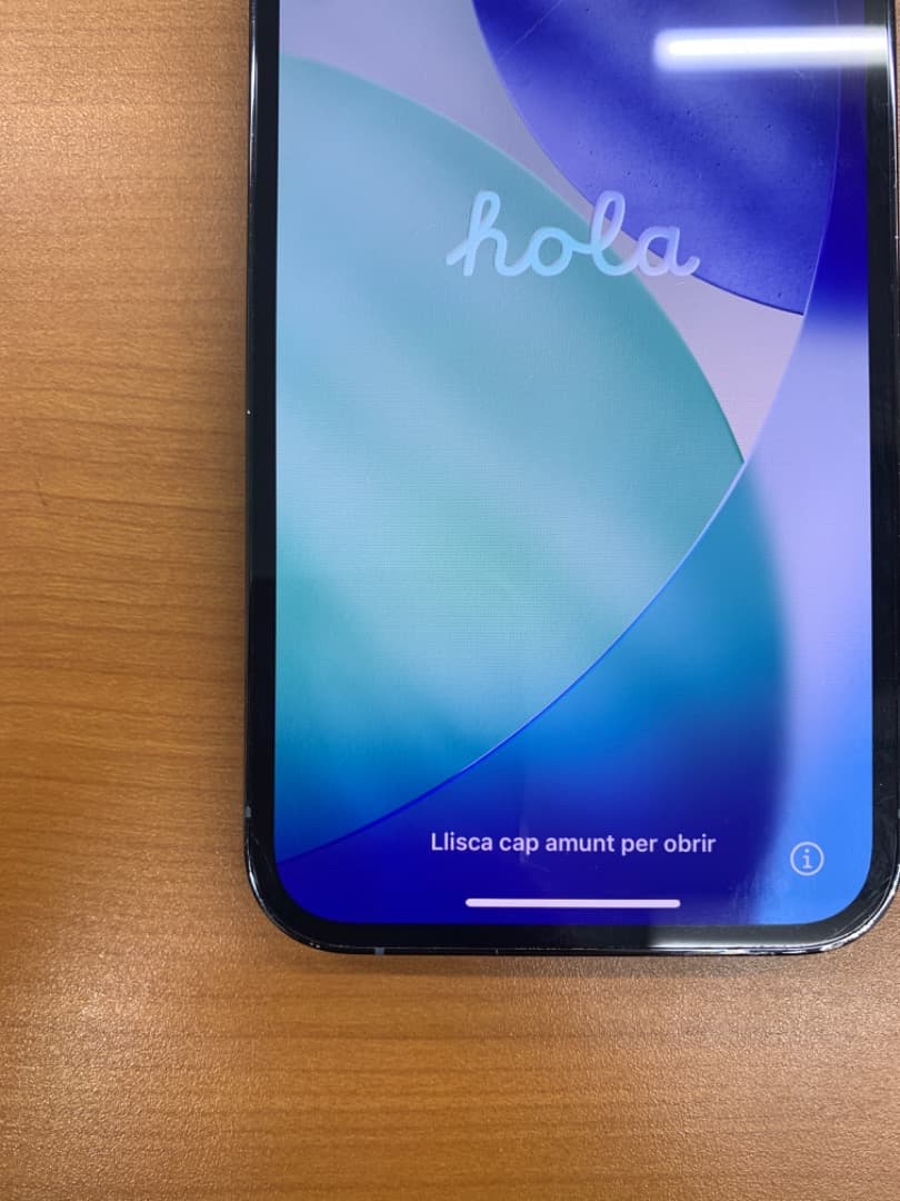 か*な様 動作確認済 iPhone 13 Pro 128GB ID J0358