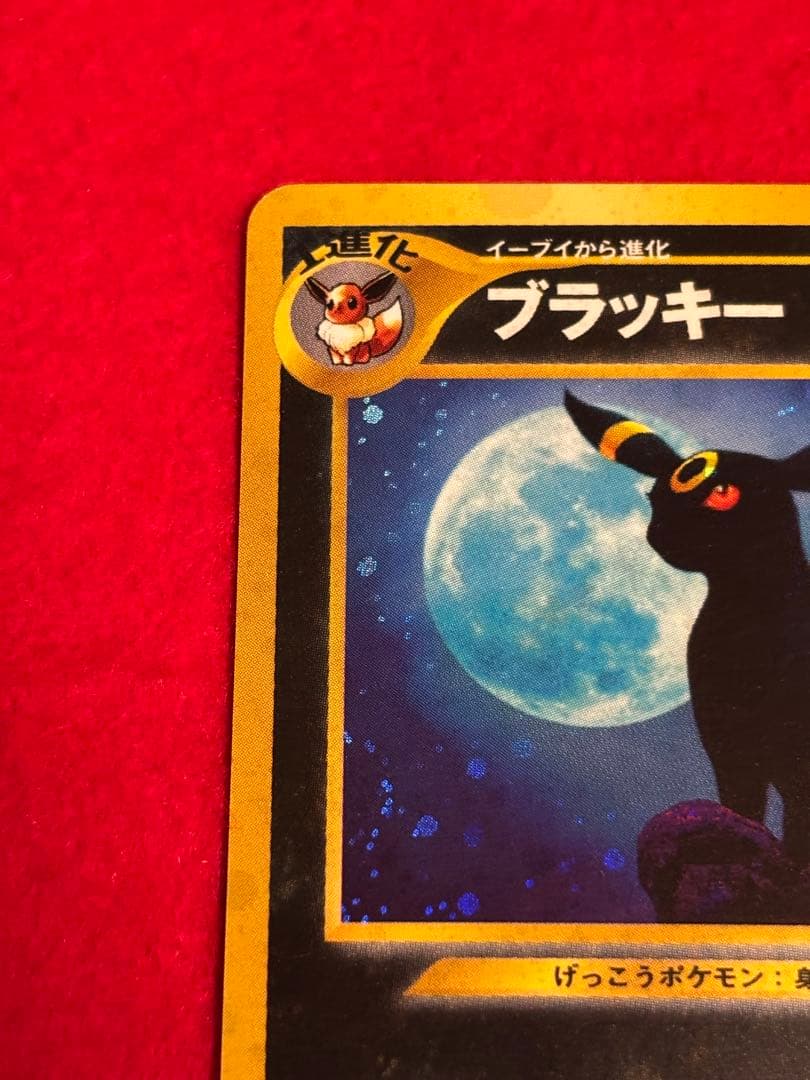 ポケモンカード ブラッキー 旧裏面 遺跡をこえて… No.197 渦巻きホロ有り