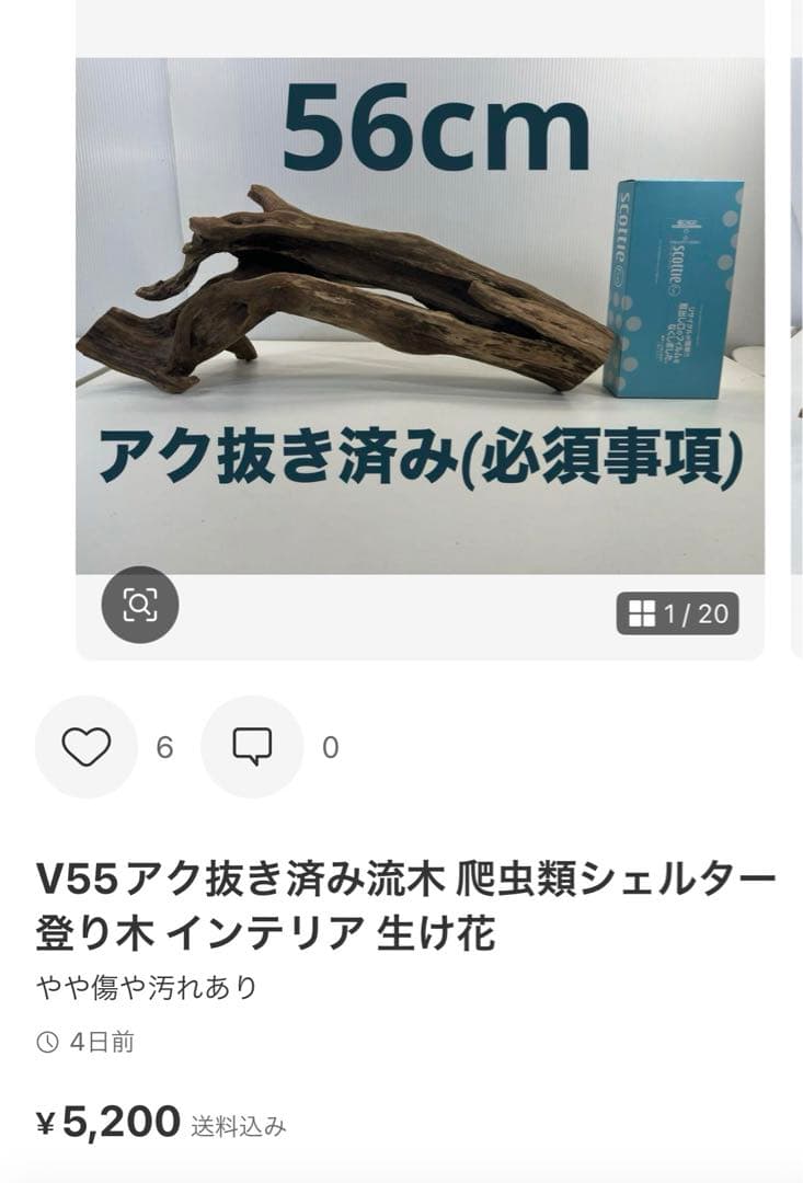 R70アク抜き済み流木 爬虫類シェルター レイアウト用 インテリア エアプランツ