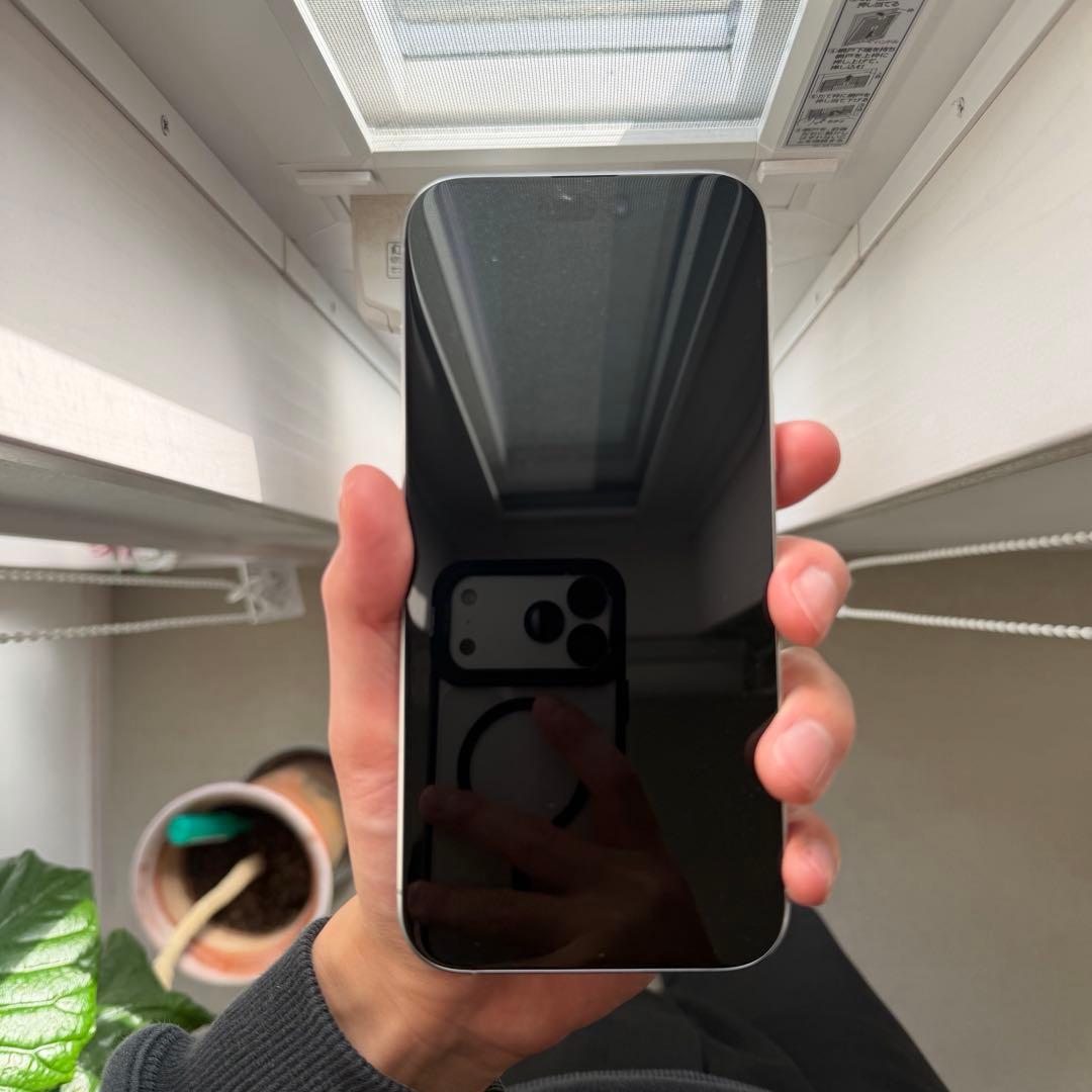 iPhone 16 Pro Max 256GB SIMフリー ホワイトチタニウム