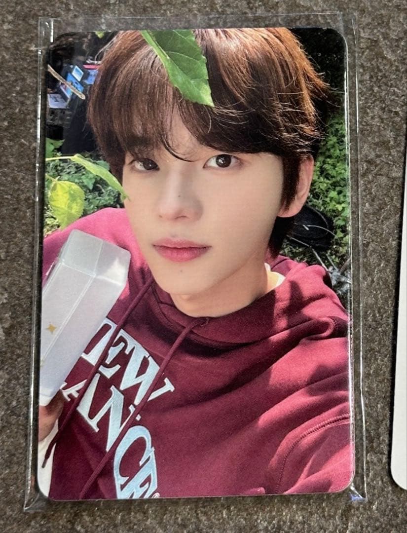 TWS シニュ 2025 ワルツ ライブ マカオ限定 トレカ