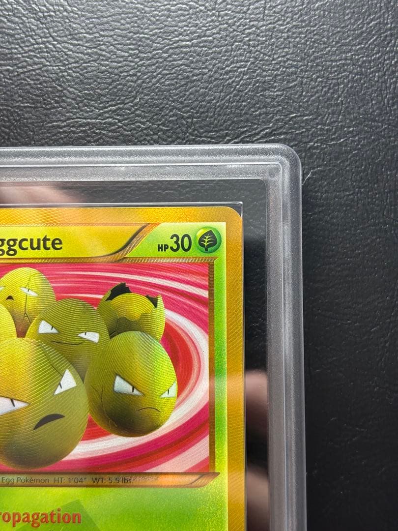 【ARS8】タマタマ 英語 102/101 UR ぞうしょく