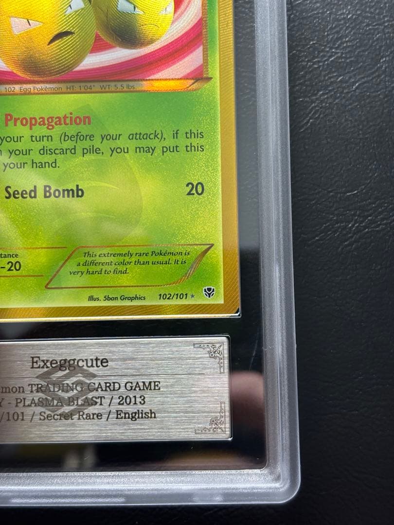 【ARS8】タマタマ 英語 102/101 UR ぞうしょく