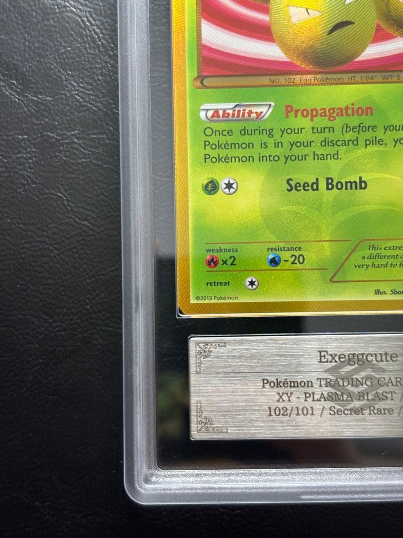 【ARS8】タマタマ 英語 102/101 UR ぞうしょく