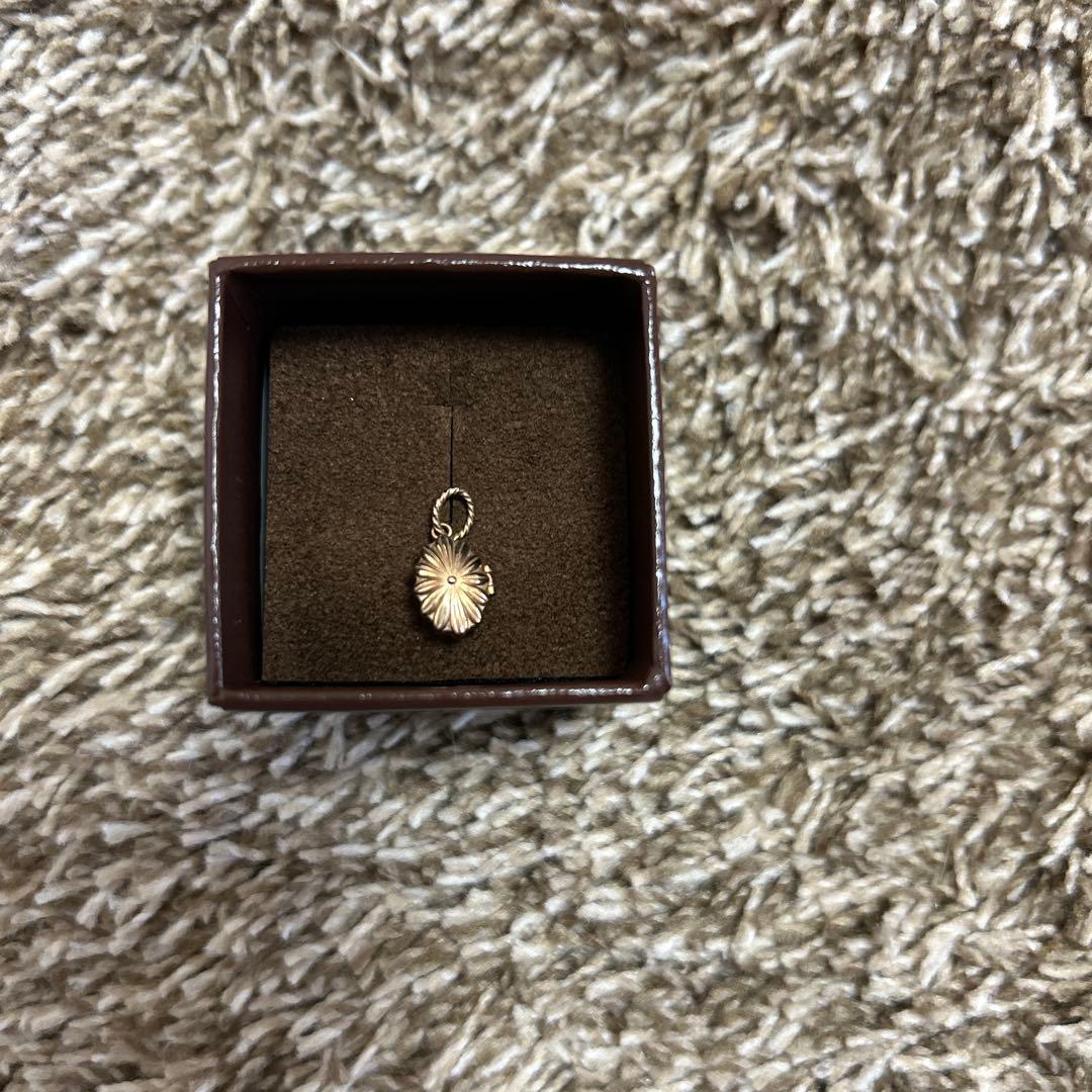 アガット K10 ネックレスチャーム　プレナイト