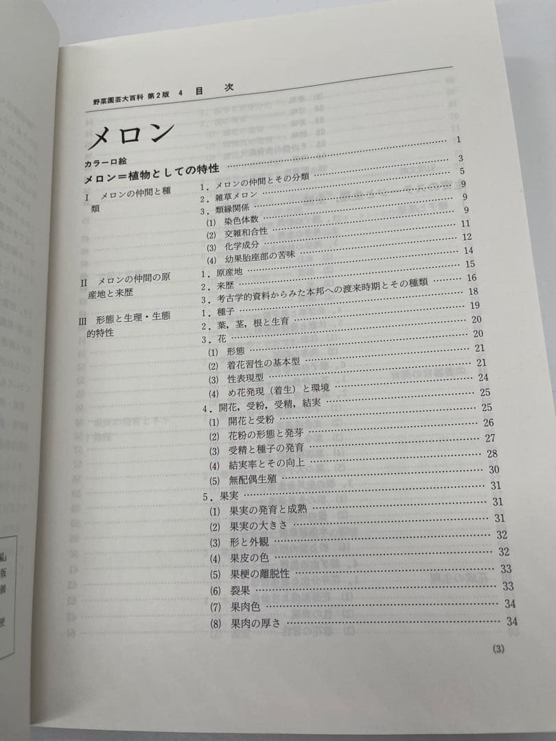 野菜園芸大百科 (4) 第2版　メロン