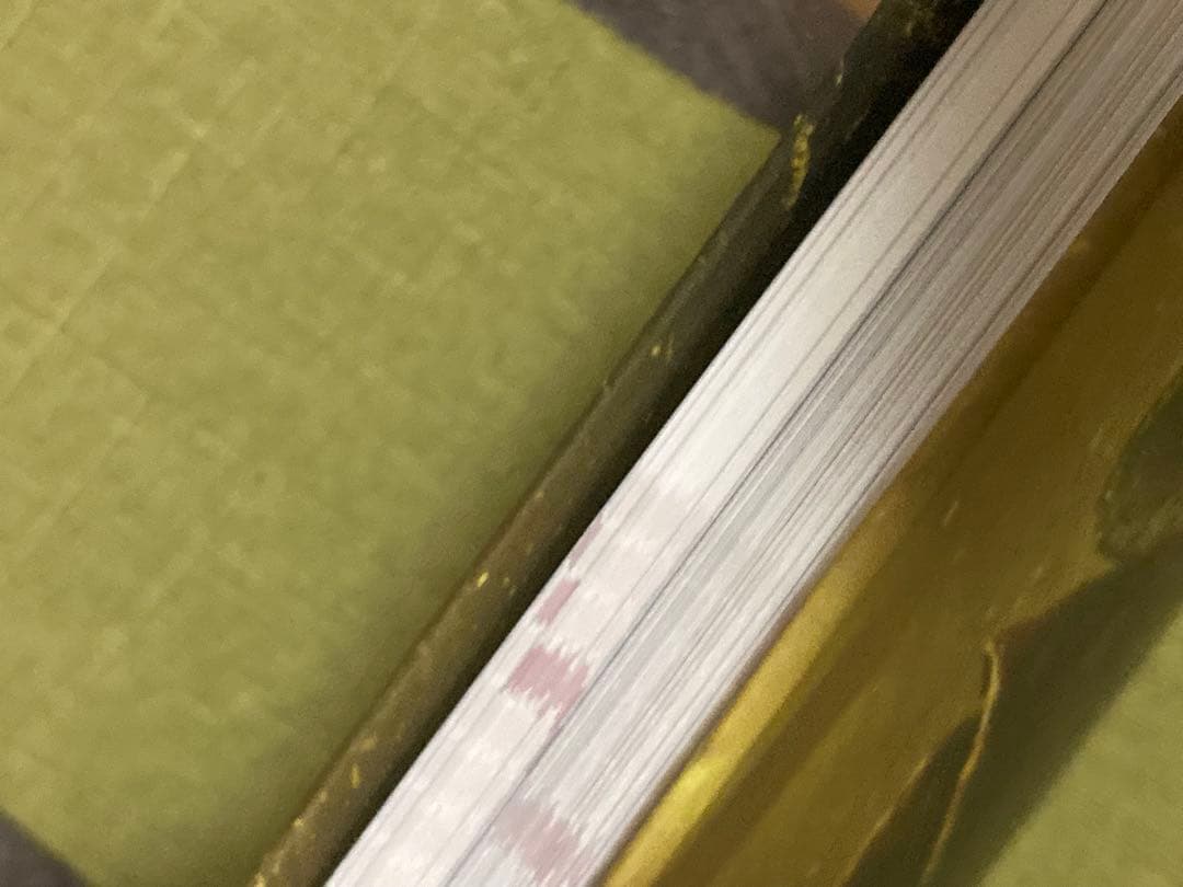 限定版 Dark Souls III Estus Flask Edition