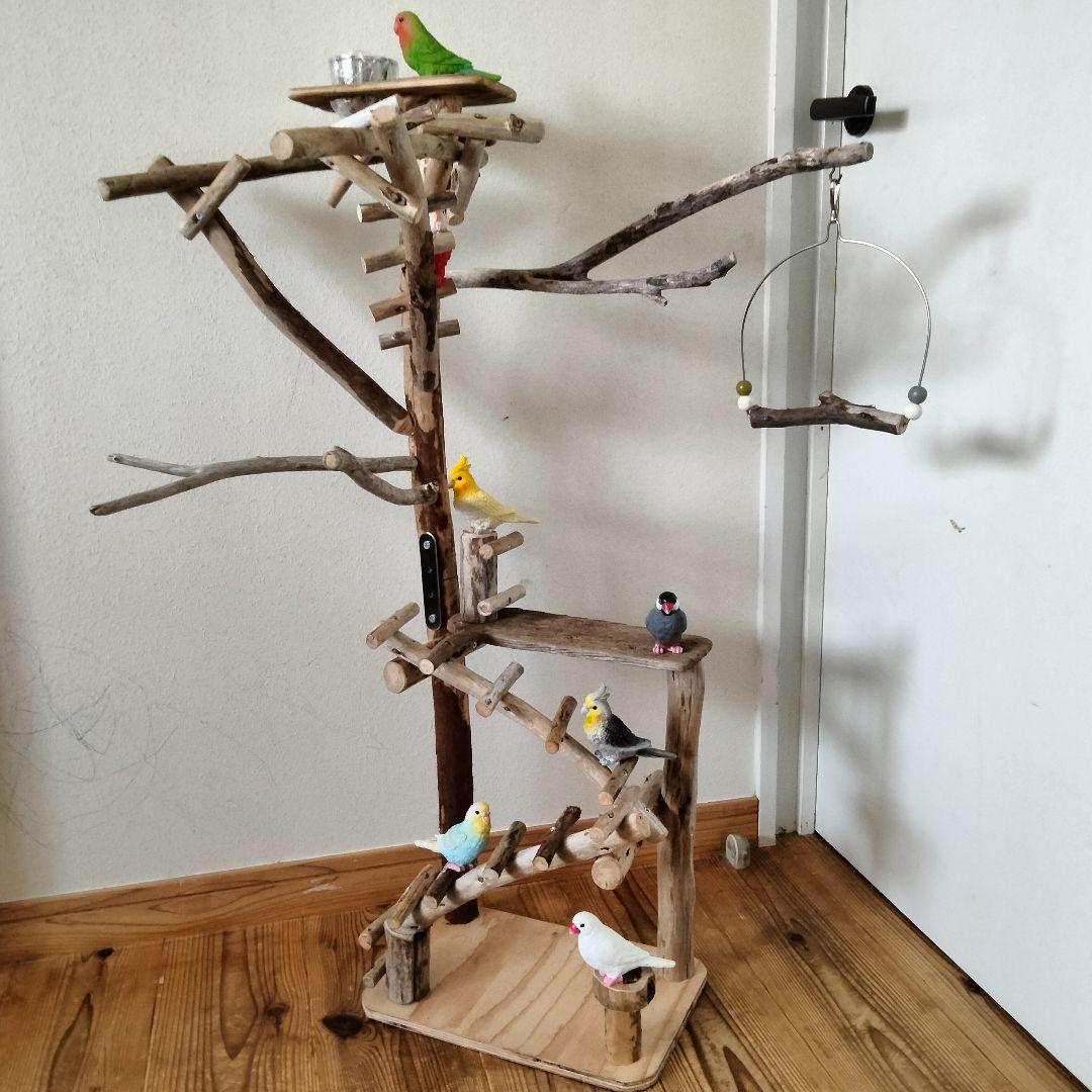 バードアスレチックジム㊻ 天然木 自然木 流木 止まり木 インコ