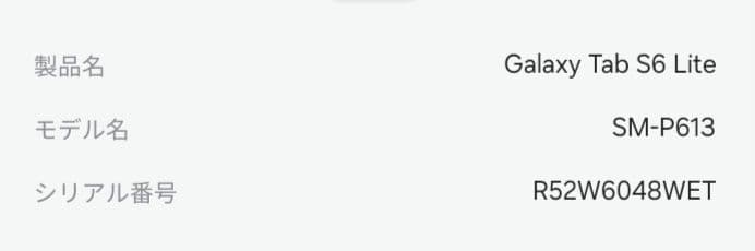 Galaxy Tab S6 Lite (Wi-Fi) Sペン＋専用ケース