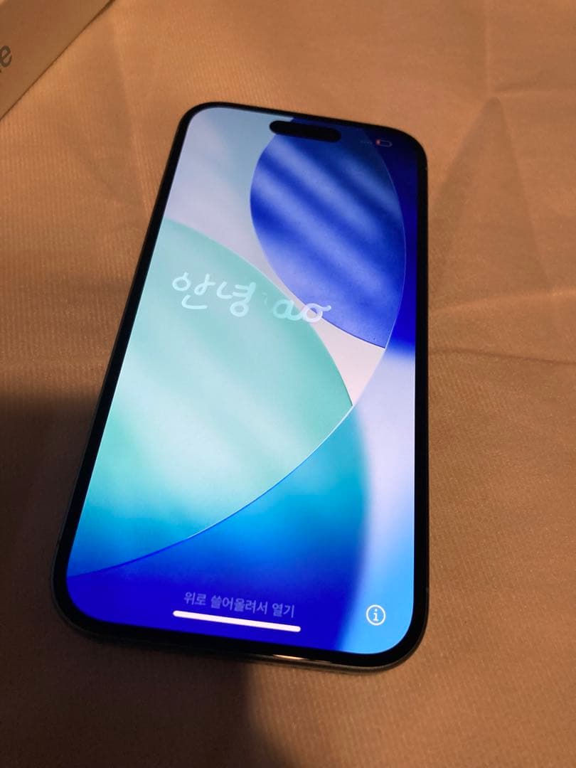 Apple iPhone16 本体