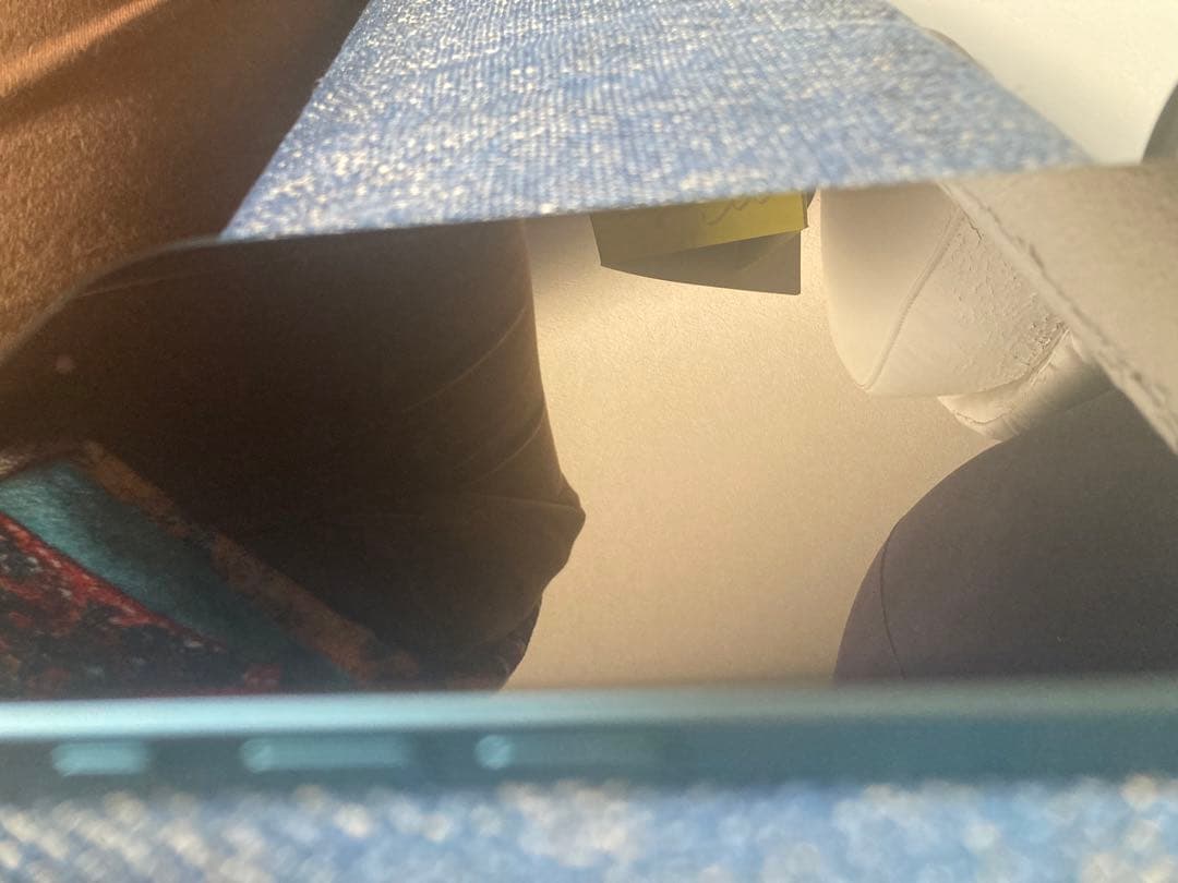 Apple iPhone16 本体