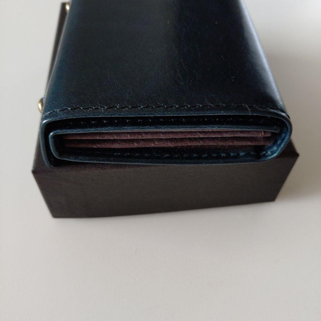 新品 m+ エムピウ ミッレフォッリエ2 P25 BUSCHETO oceano