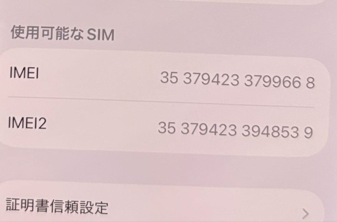iPhone16e 本体